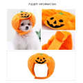 Plux chaud mignon de Noël citrouille Halloween Chienne de chien